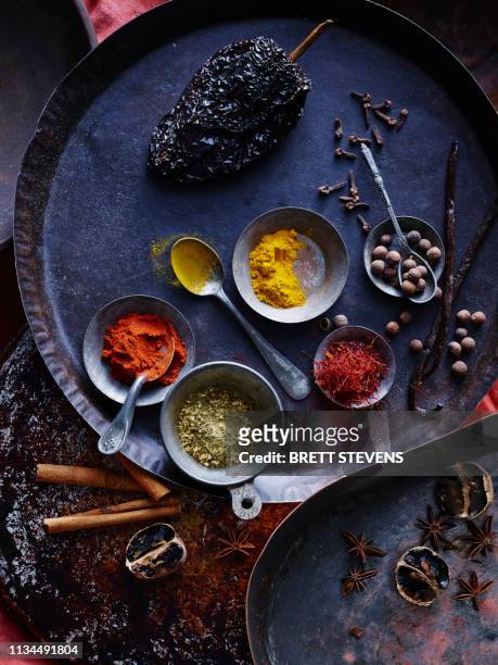 spices, chillis, cloves, star anise, vanilla, mace, turmeric, cinnamon, saffron - indian spice stock pictures, royalty-free photos & images
