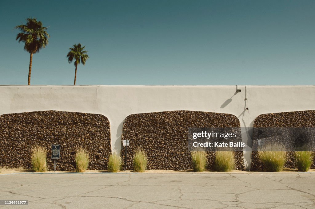 Concrete wall and palm trees, Palm Springs, California, USA
