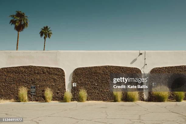 concrete wall and palm trees, palm springs, california, usa - palm springs california photos et images de collection