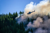 Forest Fire in British Columbia, Canada
