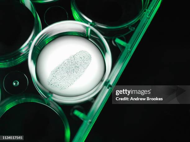 Finget Lab 33 Automated Fingerprint Identification System Stock Photos, High-Res ...