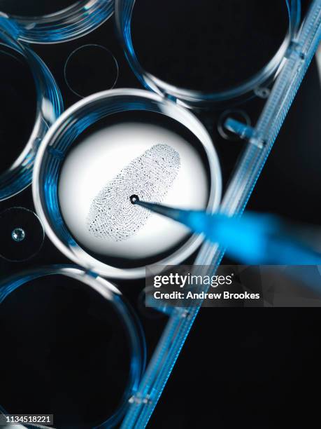 close up of finger print in forensic lab - future healthcare stock pictures, royalty-free photos & images