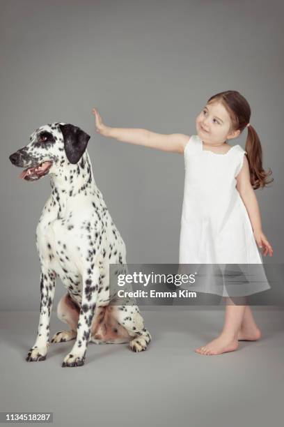 studio portrait of female toddler and dalmatian dog - hairy girl 個照片及圖片檔