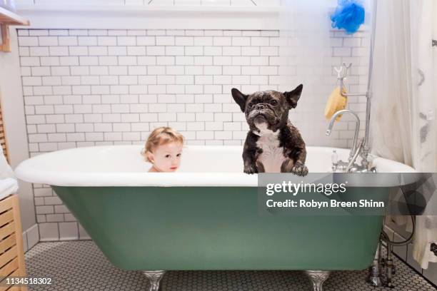 girl sitting with bulldog in bathtub - bathtub stock-fotos und bilder