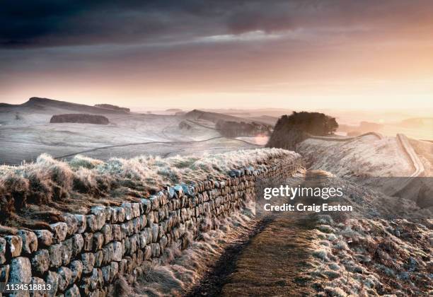 hadrian's wall, england - noordoost engeland stockfoto's en -beelden