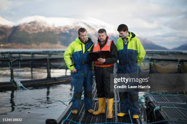workers at salmon farm in rural lake - life jacket stock pictures, royalty-free photos & images