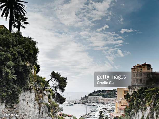 view of cliffs and harbor, monte carlo, monaco - montecarlo stock pictures, royalty-free photos & images