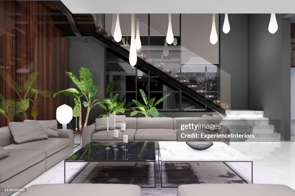 Luxury Modern Villa Interior