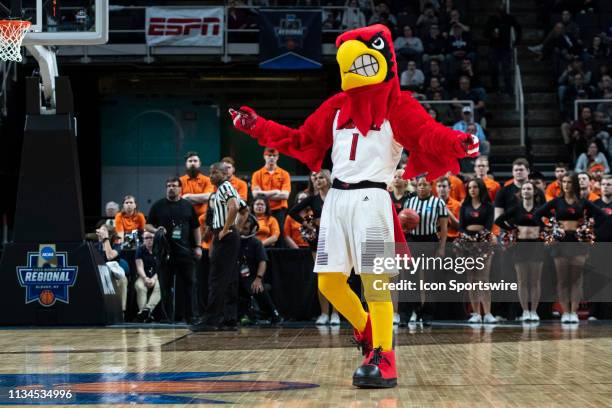 Louie, the Louisville Cardinals Mascot, performs during the first half of the game between the Oregon State Beavers and the Louisville Cardinals on...