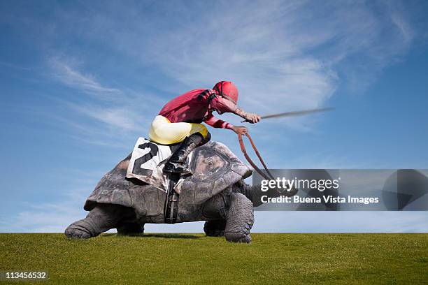 Jockey over a turtle