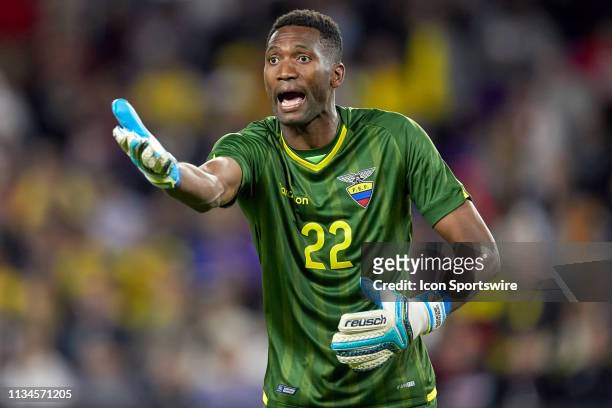 Ecuador goalkeeper Alexander Dominguez reacts to a play in game action during an International friendly match between the United States and the...