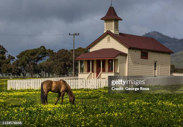 Horse grazes in a pasture at the old schoolhouse on February 20 in San Simeon, California. Because of its close proximity to Southern California and...