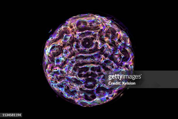 colorful cymatic pattern of sound taken by the water reflection"n - sound system stock-fotos und bilder