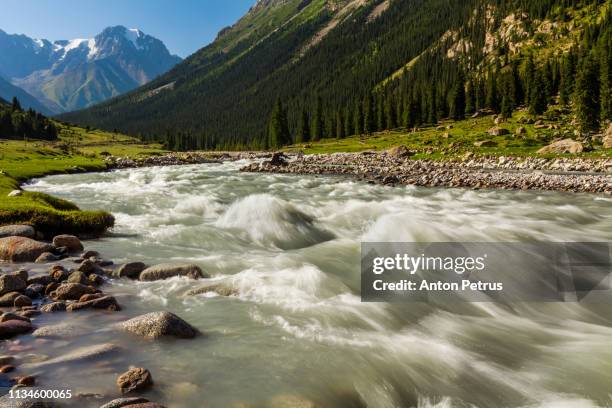 mountain river in alps - wildwasser fluss stock-fotos und bilder