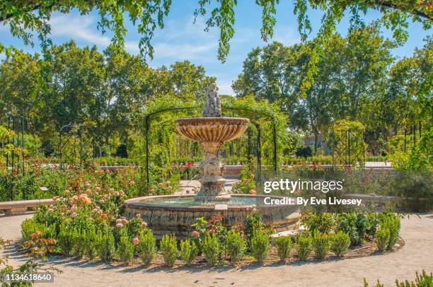 rose garden in el buen retiro park in autumn - madrid buen retiro park stock pictures, royalty-free photos & images