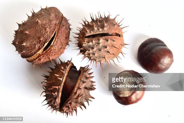 close-up of dried fruits over white background - marrone foto e immagini stock