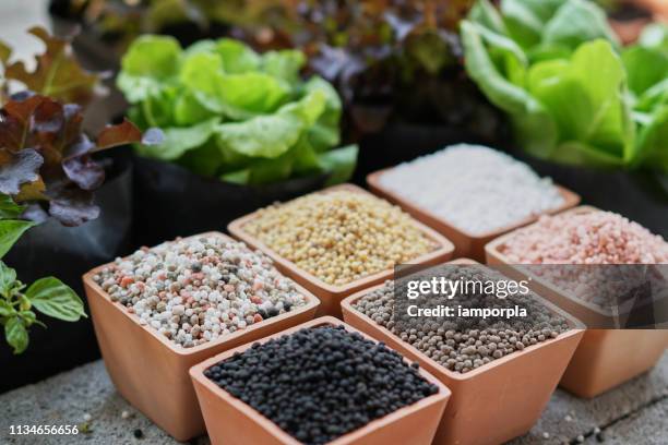 Comparing Fertilizer Types: DAP vs. SSP vs. TSP