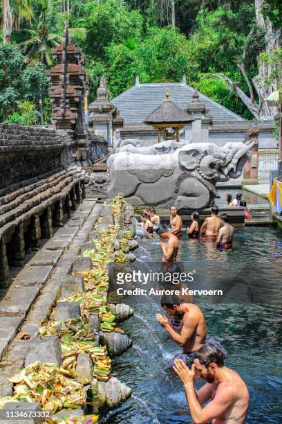 praying at tirta empul temple in bali, indonesia - tirta empul temple stock pictures, royalty-free photos & images
