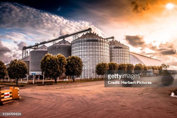 silo de grãos - lucas do rio verde, mato grosso, mt, brazil - silo - fotografias e filmes do acervo