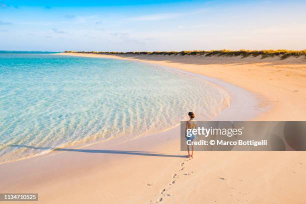 one woman on a beach in the morning, western australia - exmouth western australia stock pictures, royalty-free photos & images