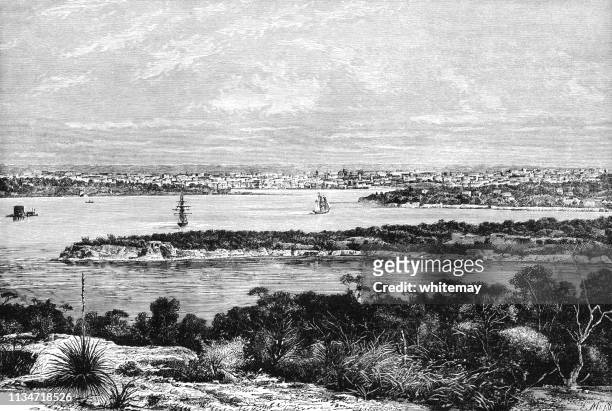 19世紀末澳大利亞悉尼港的景色 - sydney australia 幅插畫檔、美工圖案、卡通及圖標