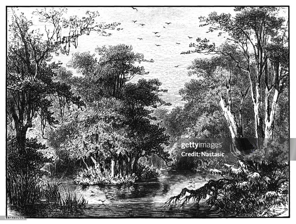 Bank of Murray River, Australia
