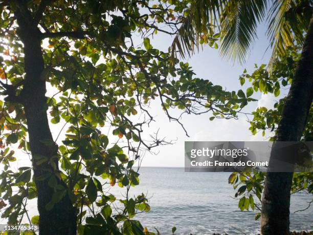 view of the beach on san andres island, colombia - san andres stockfoto's en -beelden