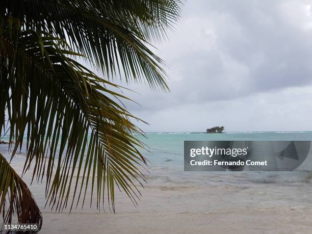 view of the beach on san andres island, colombia - san andres colombia stock-fotos und bilder