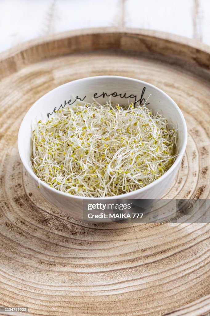 Fresh alfalfa sprouts (Medicago Sativa) in white pottery bowl on a rustic wooden tray.