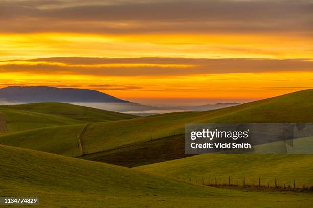 sunrise over farming fields and mountains new zealand - new zealand rural bildbanksfoton och bilder