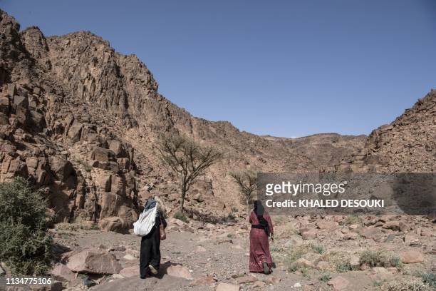 Umm Yasser , an Egyptian Bedouin woman guide from the Hamada tribe, leads a group of hikers in Wadi el-Sahu in South Sinai governorate on March 29...
