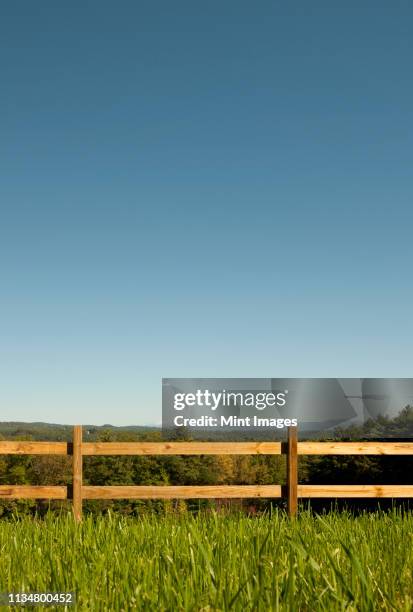 pasture fence and grass in mountains - farm fence stock pictures, royalty-free photos & images