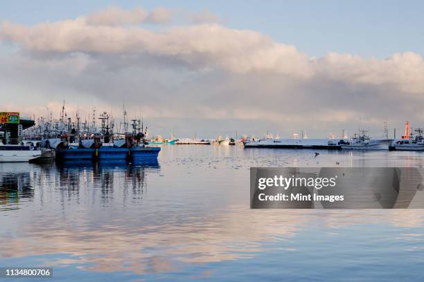 fishing port harbor at dusk - rausu stockfoto's en -beelden