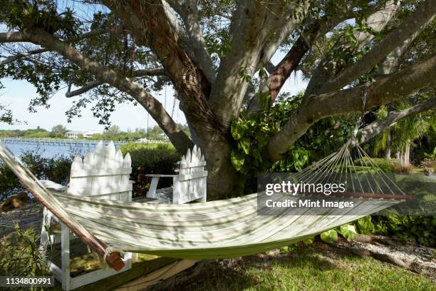 hammock under a tree - palmetto fl stock pictures, royalty-free photos & images