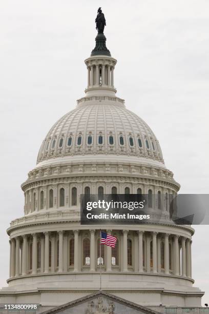 dome of the capitol building - kuppeldach oder kuppel stock-fotos und bilder