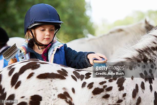young girl grooming her pony - pony paard stockfoto's en -beelden