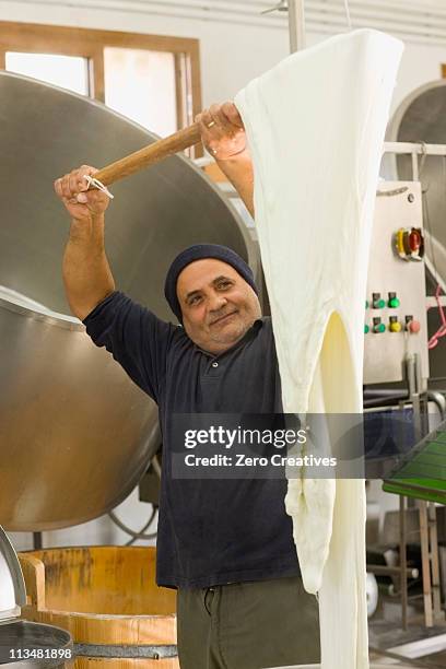 bison mozzarella production - mozzarella stock pictures, royalty-free photos & images