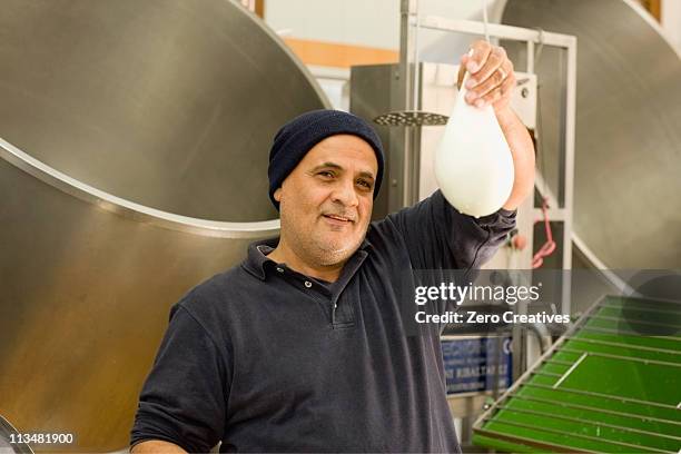 mozzarella di bufala - mozzarella stock pictures, royalty-free photos & images