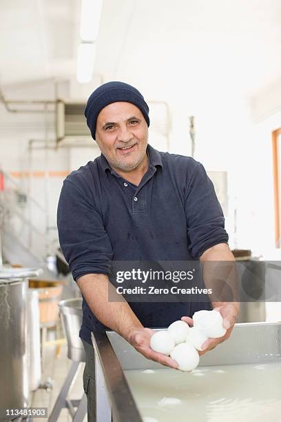artisan bison mozzarella - mozzarella ball stock pictures, royalty-free photos & images