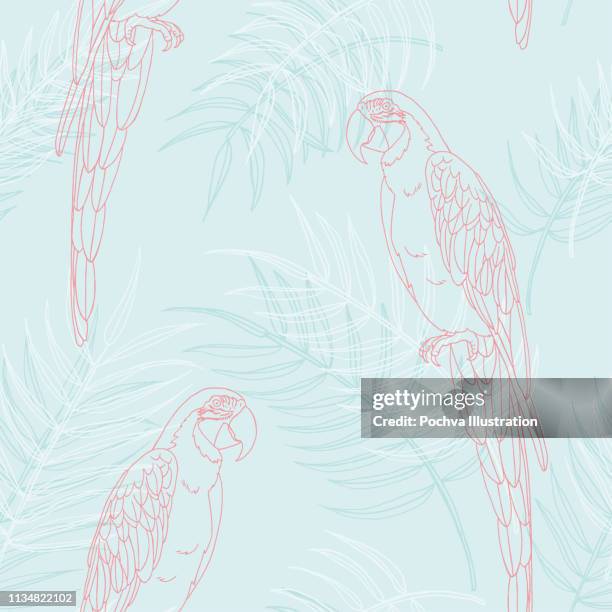 ilustrações, clipart, desenhos animados e ícones de teste padrão sem emenda das folhas de macaw e de palma - papagaio
