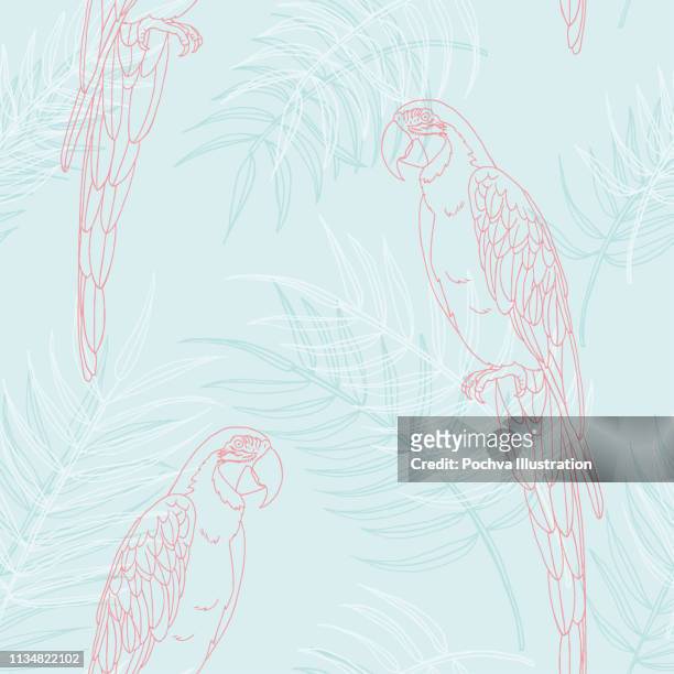 bildbanksillustrationer, clip art samt tecknat material och ikoner med macaw och palm blad sömlösa mönster - papegoja