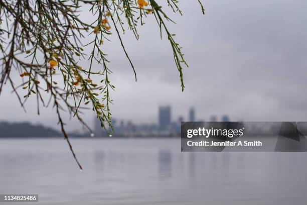 perth city on a rainy day - cold shower stock pictures, royalty-free photos & images