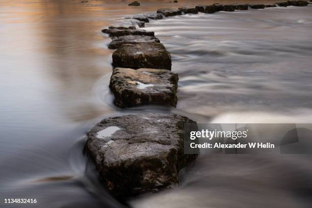 river crossing - footpath stones stock pictures, royalty-free photos & images