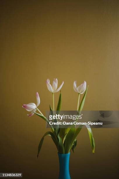 wilting tulips in a vase - fiori appassiti foto e immagini stock