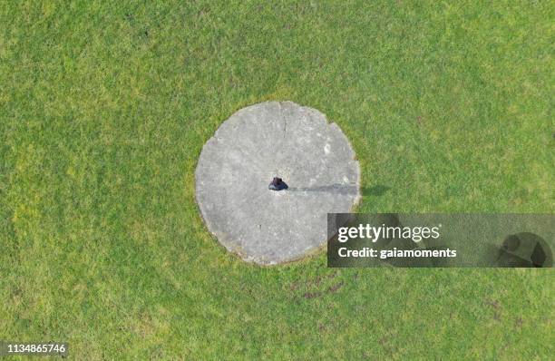 drone pilot from above - amager stock pictures, royalty-free photos & images