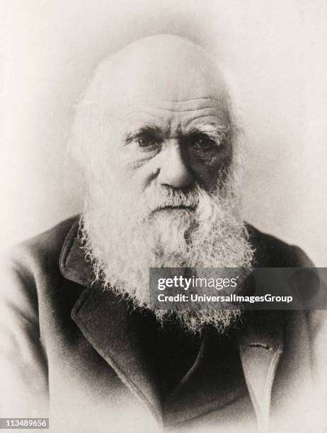 Charles Darwin 1809 1882 English naturalist in old age