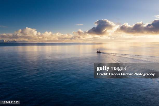 fishing boat on lofoten - trålare bildbanksfoton och bilder