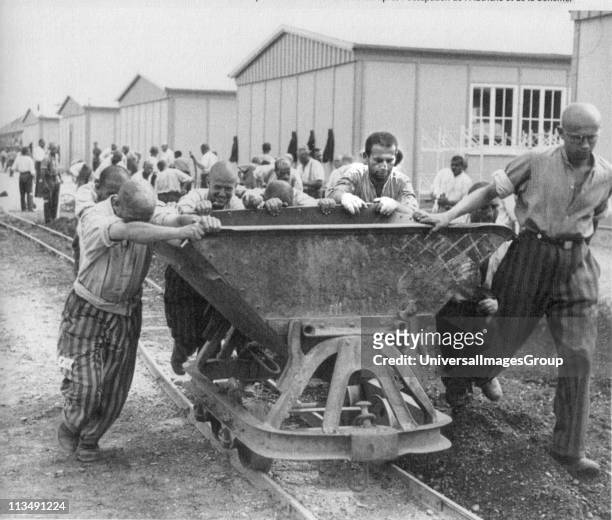 Concentration camp political prisoners in Germany 1930s, in prison uniform, engaged in forced labour.