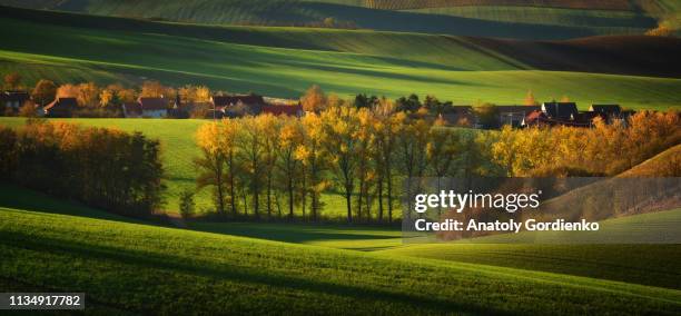 autumn rural landscape of the village and beautiful wavy fields. rural landscape with trees, hills, fields, south moravia, czech republic - czech republic autumn stock pictures, royalty-free photos & images