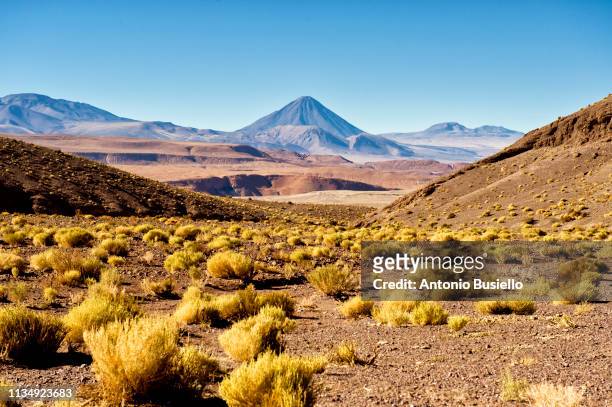 atacama desert - antofagasta region stock-fotos und bilder